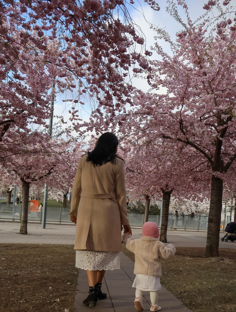 A mother and her child walking under cherry blossoms