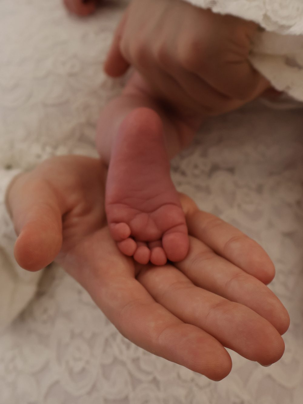 A baby's foot resting in an open palm